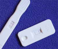 home pregnancy test